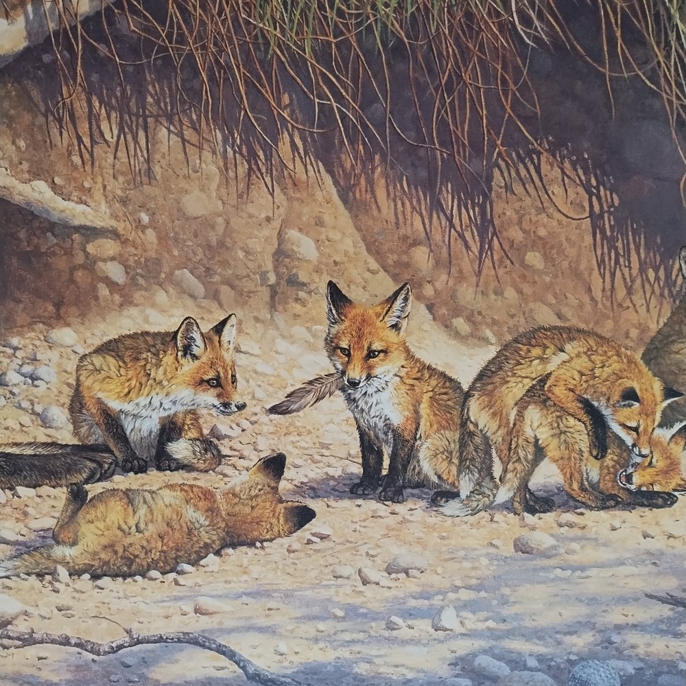 Bonnie Marris Spring Fever Red Fox Family Signed Numbered Lithograph #307/1000 - Picture 5 of 14